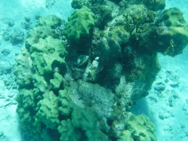 DSCF1242.JPG