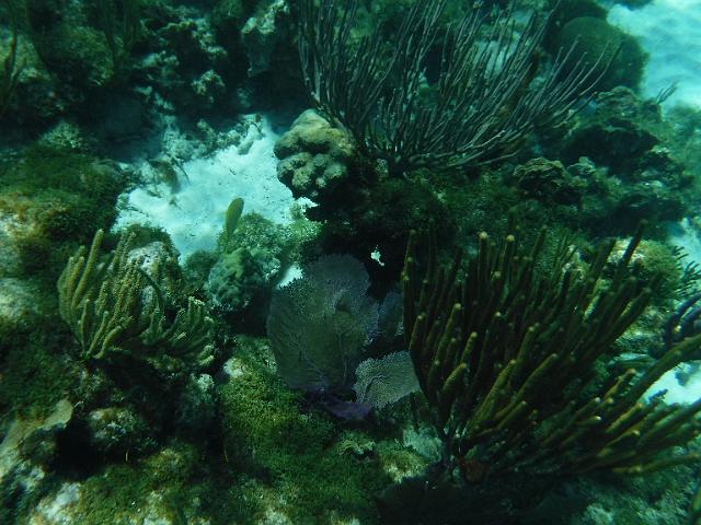 DSCF1249.JPG
