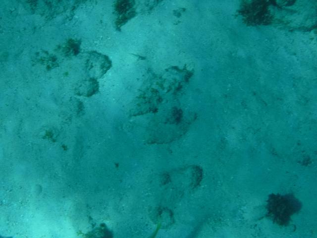DSCF1252.JPG