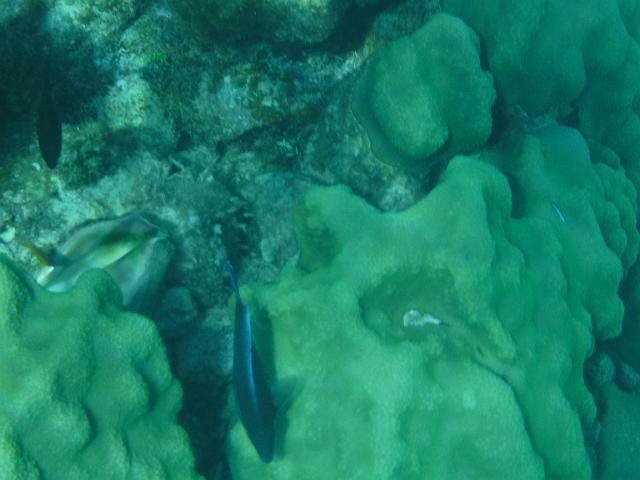DSCF1254.JPG