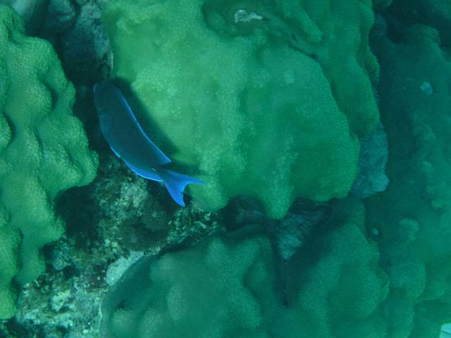 DSCF1255.JPG