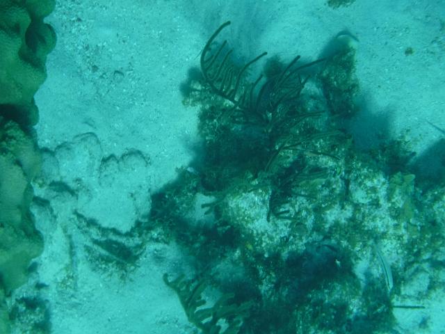 DSCF1257.JPG