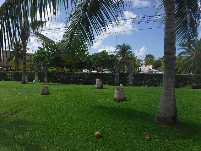 DSCF1336.JPG