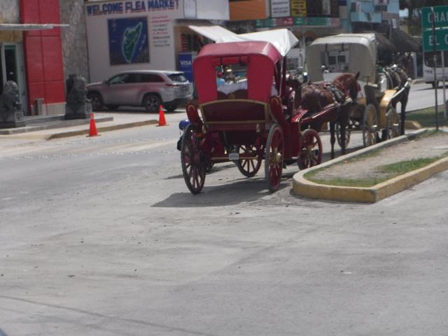 DSCF1338.JPG