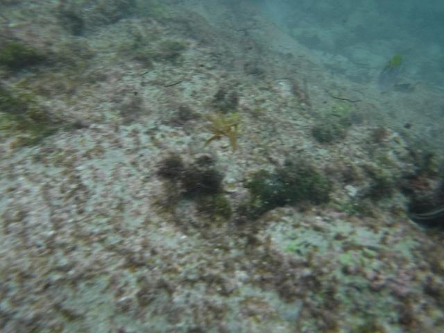 DSCF1366.JPG