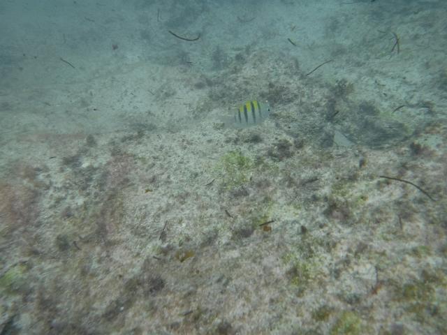 DSCF1367.JPG