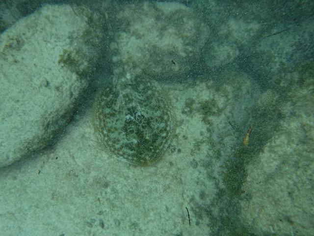 DSCF1369.JPG