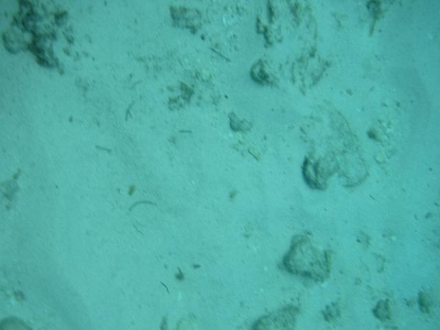 DSCF1372.JPG