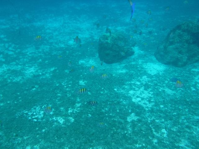 DSCF1377.JPG