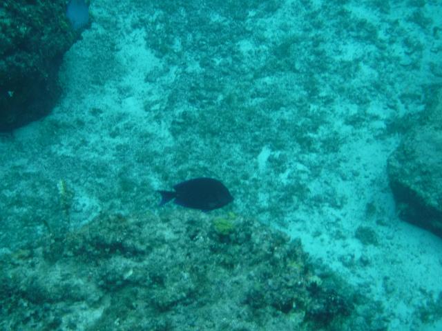 DSCF1378.JPG