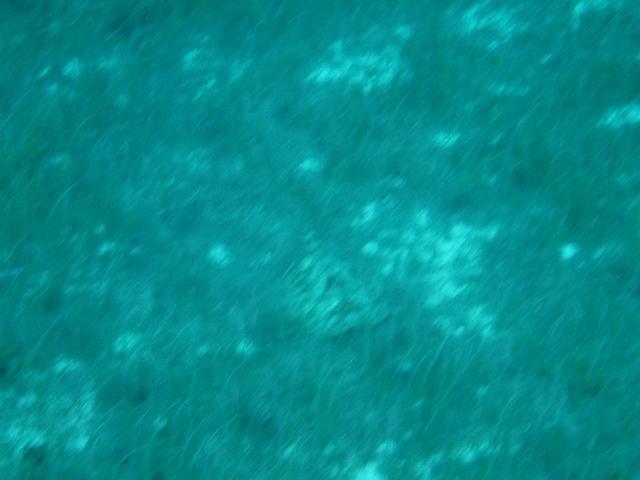 DSCF1379.JPG