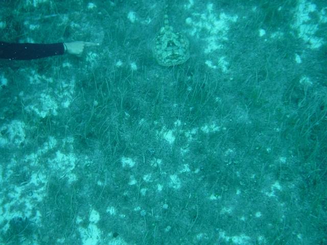 DSCF1380.JPG