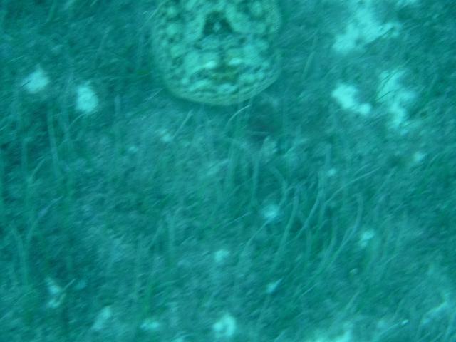 DSCF1381.JPG