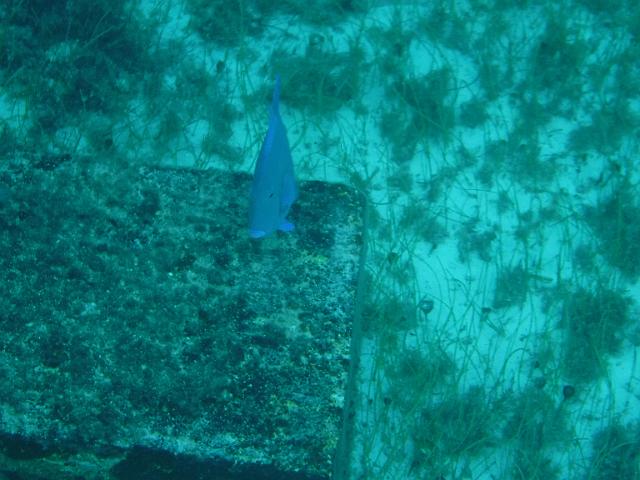 DSCF1385.JPG