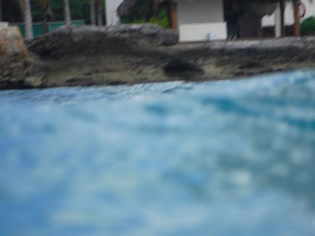 DSCF1387.JPG