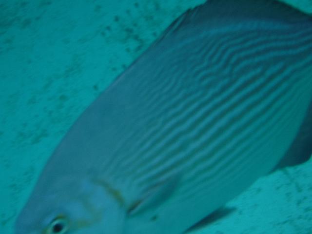 DSCF1390.JPG