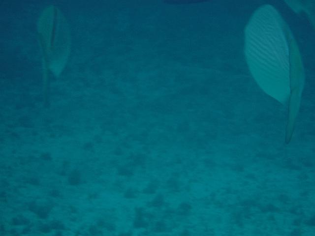 DSCF1391.JPG