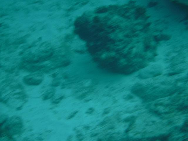 DSCF1395.JPG