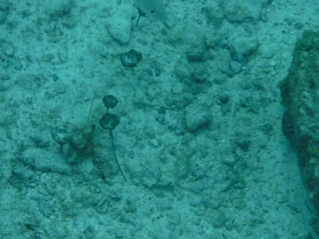 DSCF1397.JPG