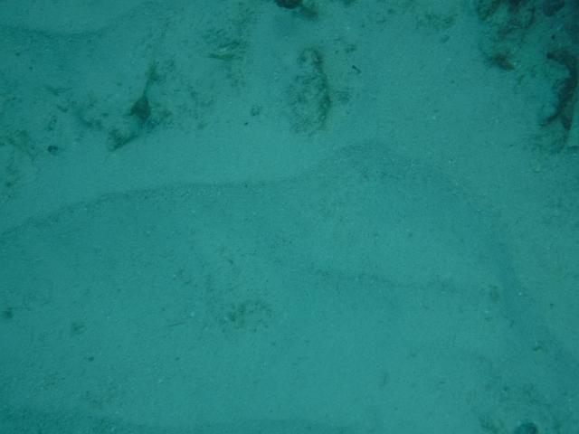 DSCF1398.JPG