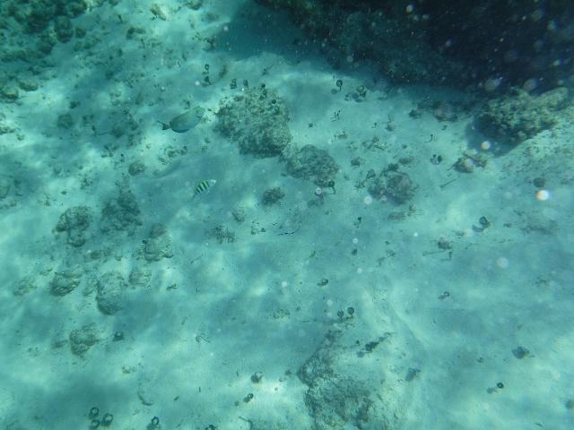 DSCF1403.JPG