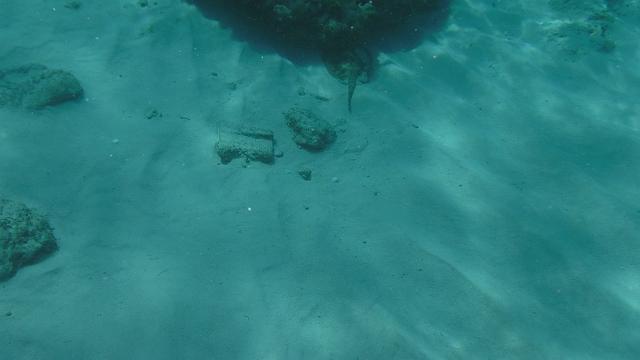 DSCF1407.JPG