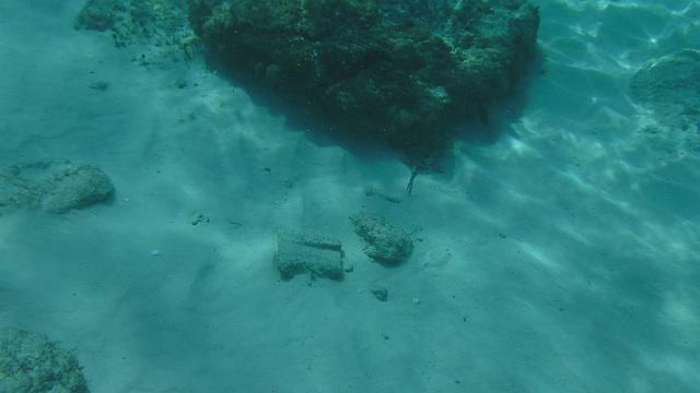 DSCF1408.JPG