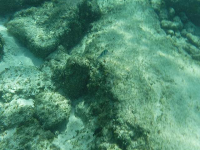DSCF1412.JPG