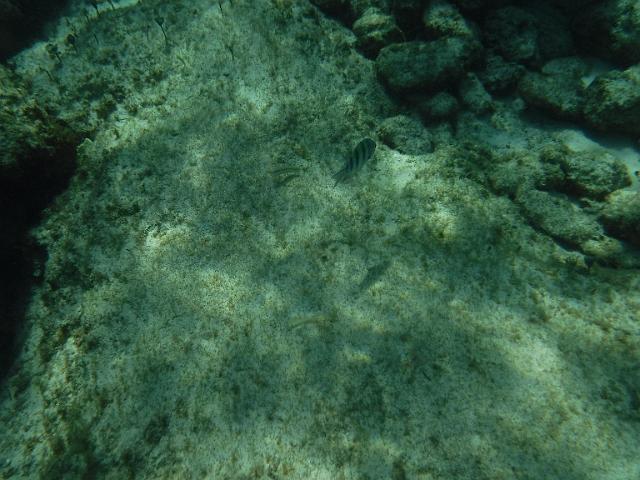 DSCF1413.JPG