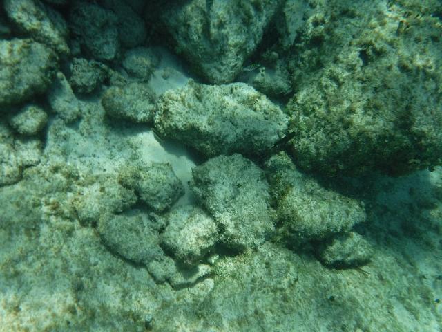 DSCF1414.JPG