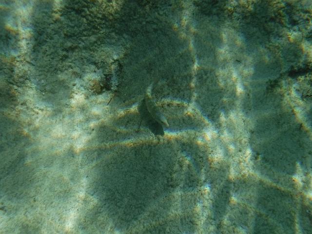 DSCF1415.JPG