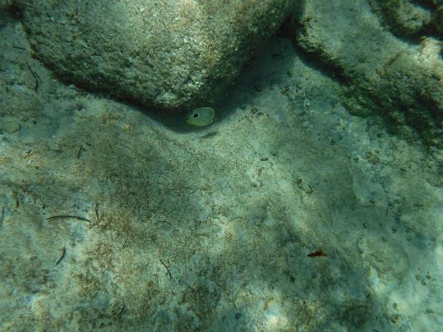 DSCF1417.JPG