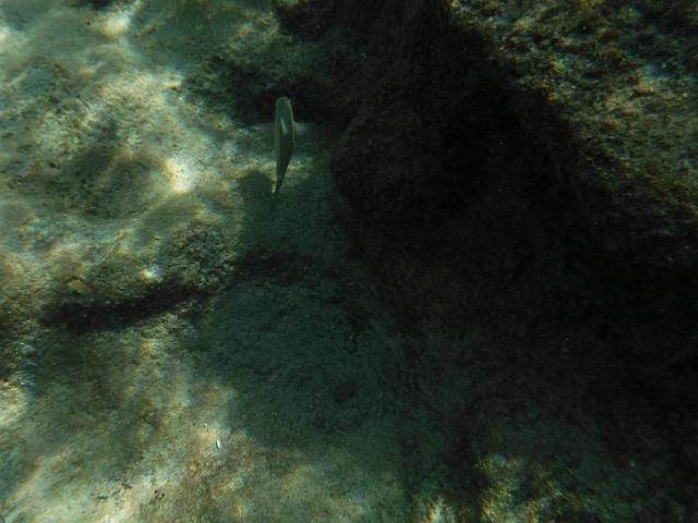 DSCF1418.JPG