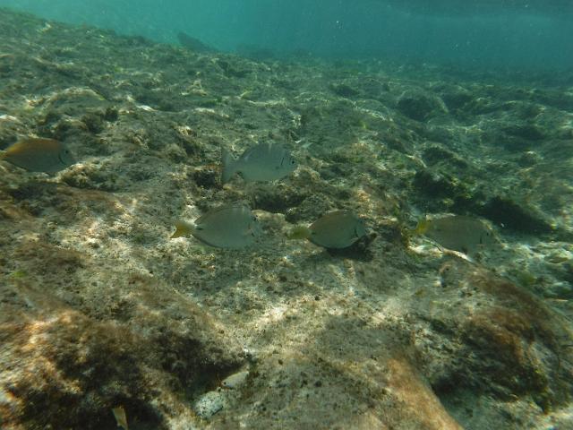 DSCF1419.JPG