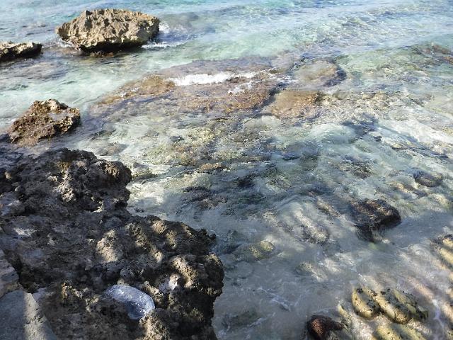 DSCF1429.JPG