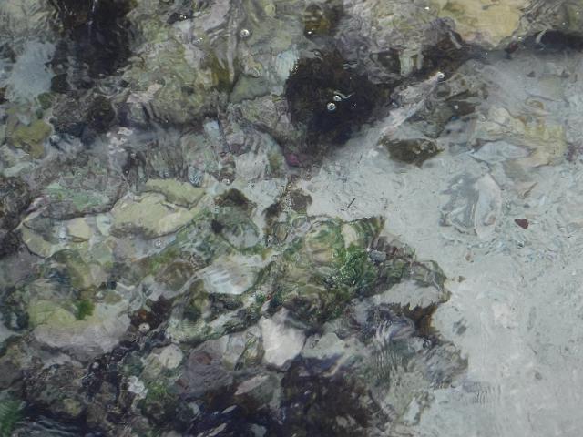 DSCF1430.JPG
