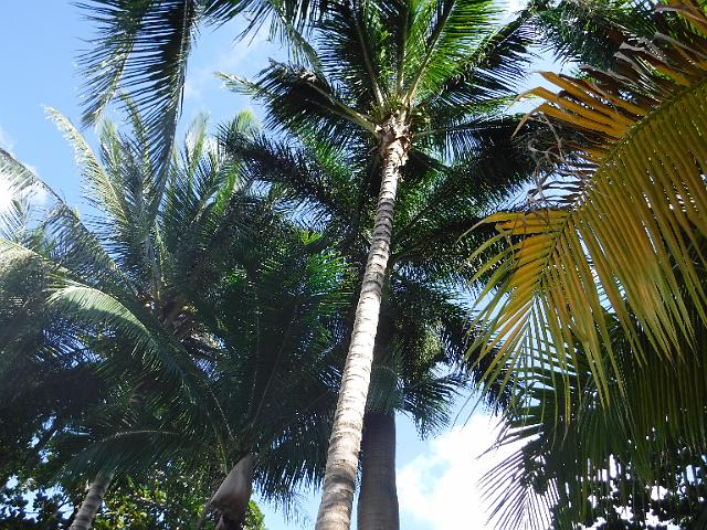 DSCF1436.JPG