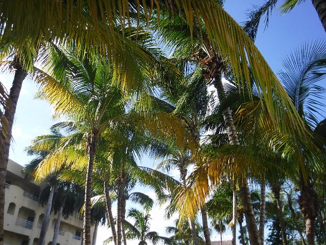 DSCF1437.JPG