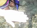 DSCF1421