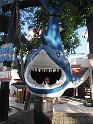 DSCF1479