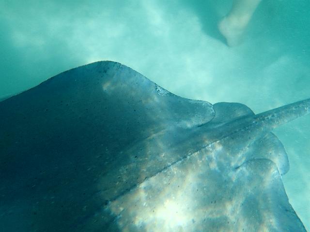FILE00359.jpg