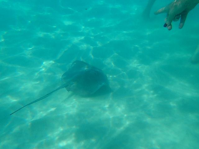 FILE00361.jpg