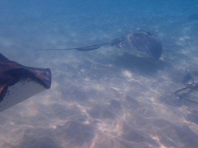 FILE00377.jpg