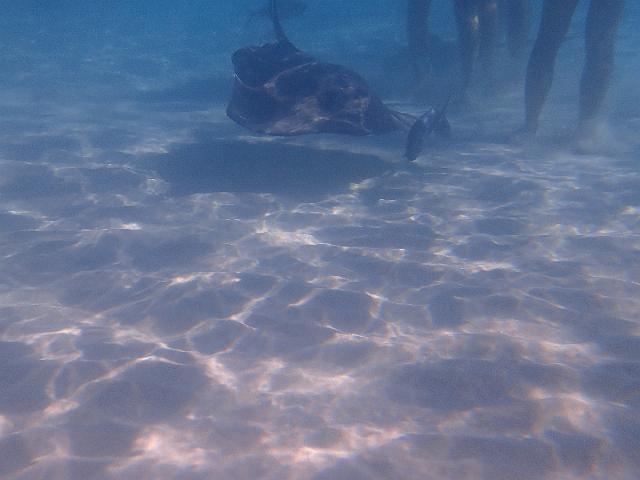 FILE00385.jpg