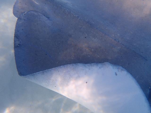 FILE00389.jpg