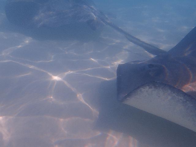 FILE00396.jpg