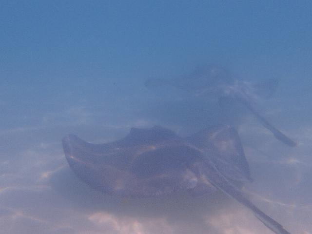 FILE00397.jpg