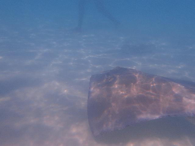 FILE00402.jpg