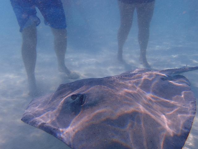 FILE00403.jpg