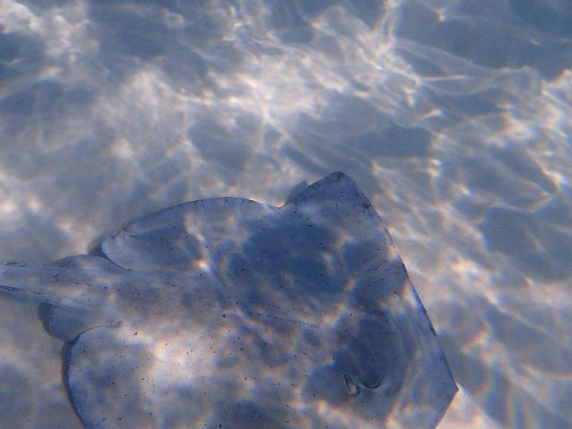 FILE00405.jpg